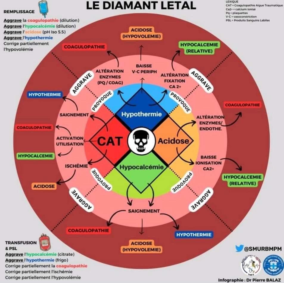 Illustration médicale de l'article