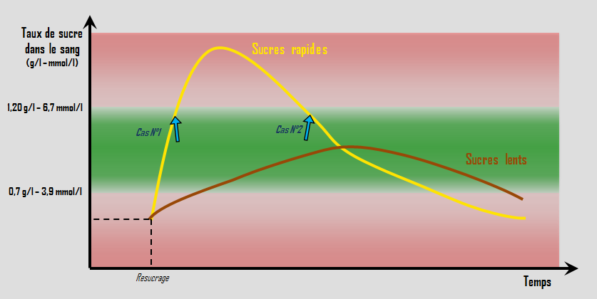 Courbes de glycemie