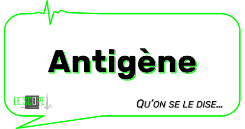 Antigène