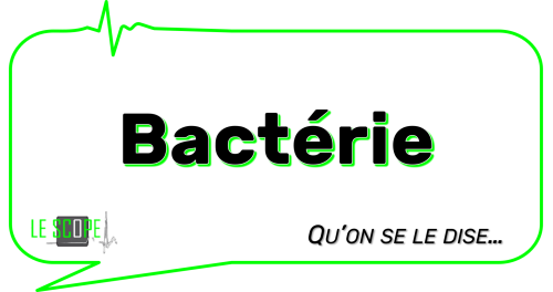 Bactérie