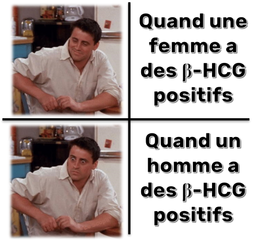 Mem 004