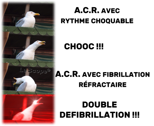 Mem 009