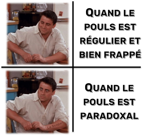 Mem 019