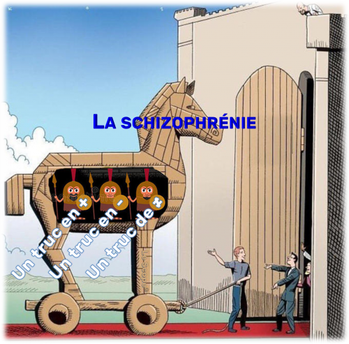 Mem 026