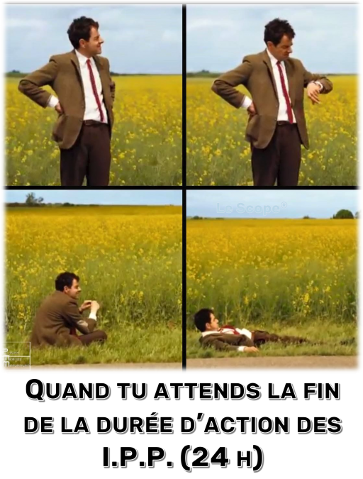 Mem 039