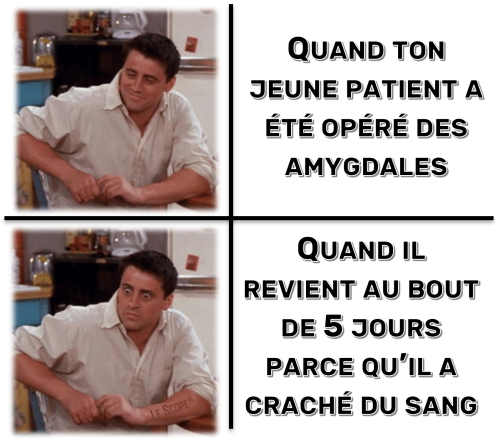 Mem 041