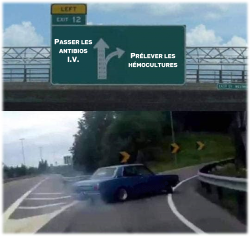 Mem 046