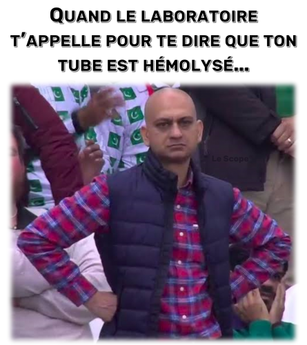 Mem 048