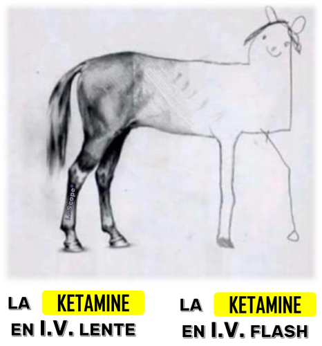 Mem 062