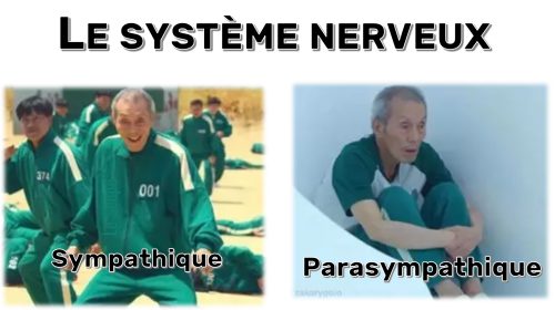 Mem 066
