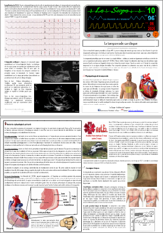 Le Scope : Bulletin mensuel N°10