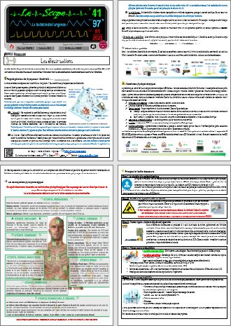 Le Scope : Les bulletins changent de format !
