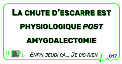 Logo fixe