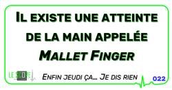 Logo fixe