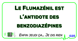 Logo fixe